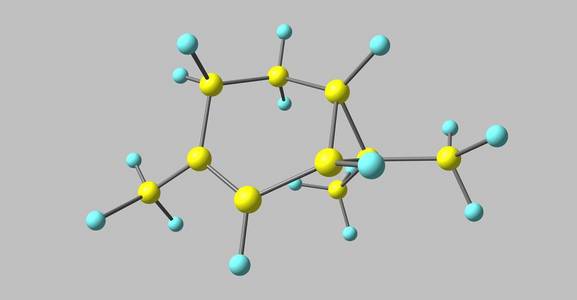 单萜蒈烯或 delta-3-carene 是由熔融环己烯和丙烷环组成的笼单萜.