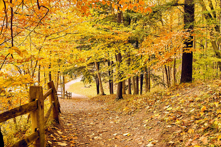 秋季现场景观在莱奇沃思州立公园