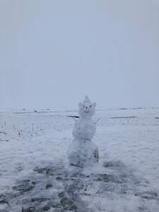 在冰雪覆盖的田野中, 冰岛的雪人图片