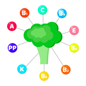 图表.蔬菜中含有的维生素。在有色圆圈中跟踪元素。西 兰花