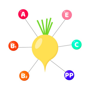 图表.蔬菜中含有的维生素。在有色圆圈中跟踪元素。萝卜