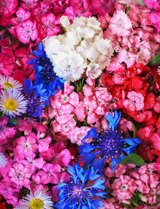 抽象的背景鲜艳的野花, 五颜六色的花朵背景。插花, 鲜花花束。为背景和墙纸, 为海报和印刷品