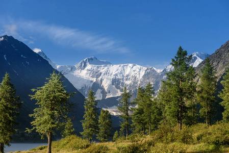 从 Akkem 河山谷 Belukha 山的景色。夏天, 好天气, 雪顶