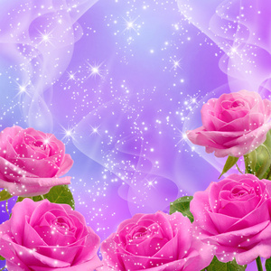 春天星星玫瑰和星星照片