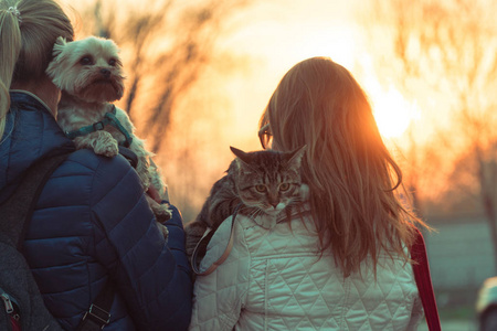 女孩和猫和狗过马路图片