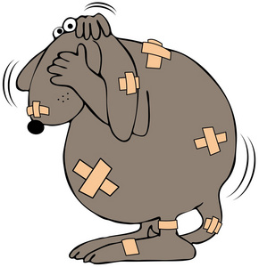 受虐受虐待的狗照片