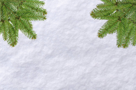 Vhristmas 背景松树和雪面白色背景在一个明亮的寒冷的早晨天