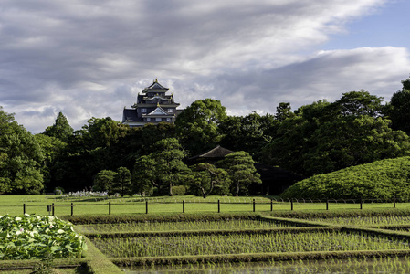 日本冈山的花园