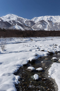 日本中部山地树木景观的雪冬自然