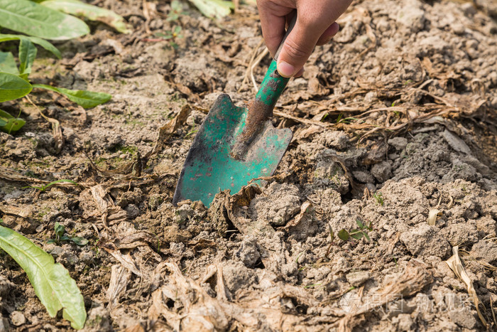 在花园里的铁锹