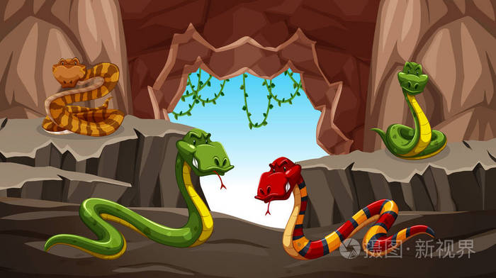 危险蛇在洞穴例证