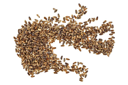 苏格兰威士忌蓟图片