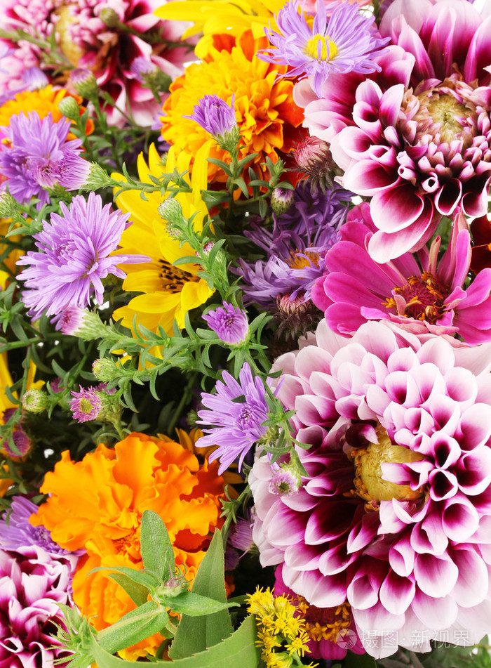 束美丽的鲜艳的花朵特写