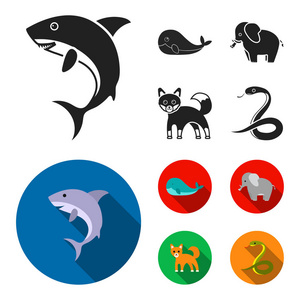 鲸鱼, 大象, 蛇, 狐狸。动物集合图标黑色, 平面式矢量符号股票插画网站