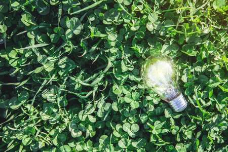 绿草中的灯泡。创意与创意