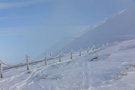 Snezka 的顶峰, 是捷克共和国最高的山峰。扶手上覆盖着冰冻的积雪。树木覆盖着霜冻。冬季广告动机