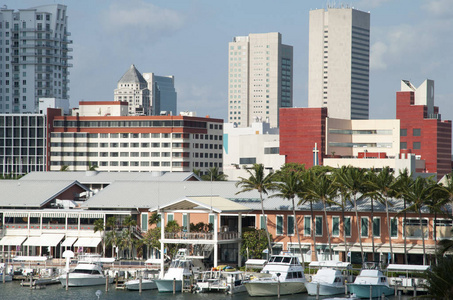 小码头和迈阿密市中心摩天大楼的景色