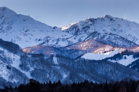 日本中部山地树木景观的雪冬自然