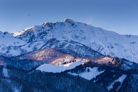 日本中部山地树木景观的雪冬自然