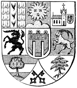 福拉尔贝格，匈君主国 的徽章。出版的书迈耶斯 konversationslexikon，第 7 卷，莱比锡，德国 19