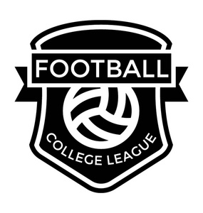 足球联赛平面矢量图标图片