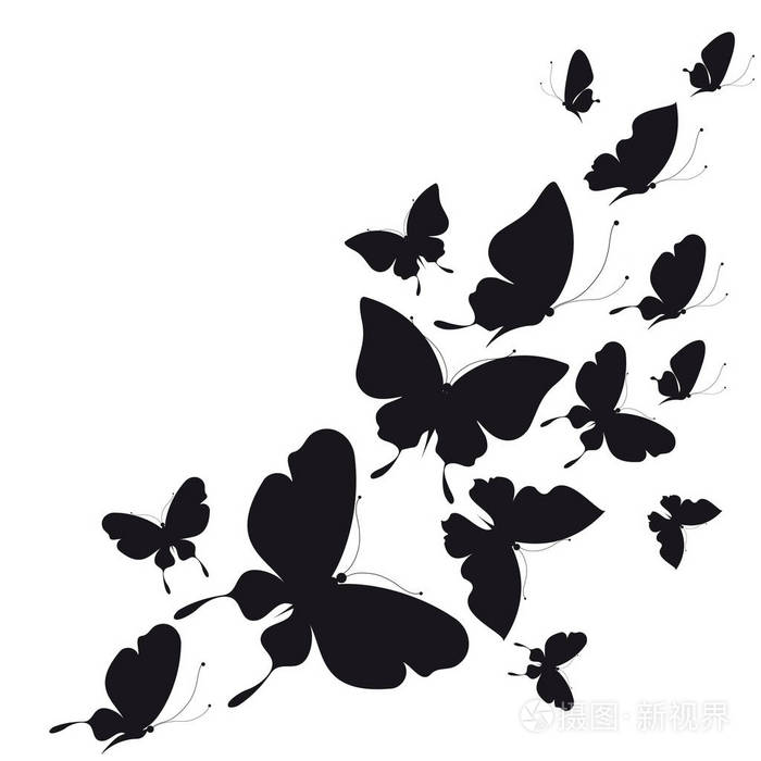 黑色蝴蝶在白色背景下被隔离