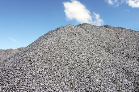 石渣的孔雀鱼图片