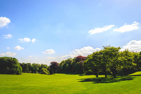 布鲁塞尔北部雷肯皇宫公园草地景观与绿色环境