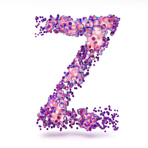 3d 带抽象生物纹理的字母 Z