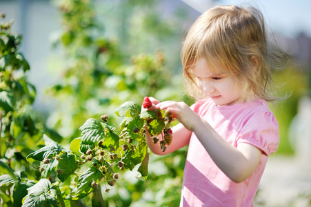   picking    