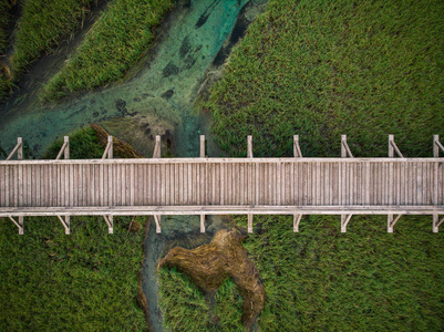 在斯洛文尼亚 zelenci 的木制行人天桥上俯视鸟瞰图照片