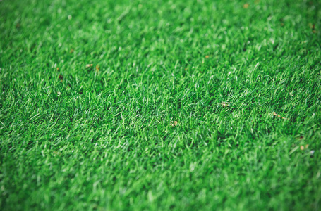 绿色人工草, 穆迪色调和复制空间的背景下输入文本