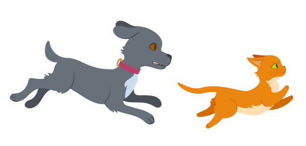 狗追一只猫照片