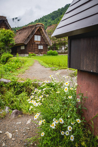 日本白川乡的传统和历史的日本村落, 白川乡因其传统的合掌zukuri 房屋而被列入联合国教科文组织世界遗产名录。