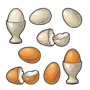 破壳鸡蛋图片-破壳鸡蛋素材-破壳鸡蛋插画-摄图新视界