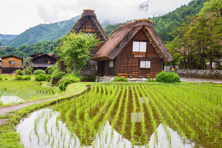 日本白川乡的传统和历史的日本村落, 白川乡因其传统的合掌zukuri 房屋而被列入联合国教科文组织世界遗产名录。