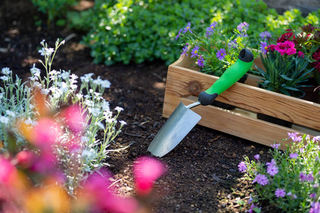 园艺。装满花盆和园艺工具的板条箱, 准备在阳光明媚的花园里种植。春园工程理念