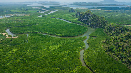 泰国甲米的树木或森林鸟瞰图