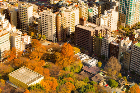 公共公园在城市鸟瞰图, 东京日本城市景观背景