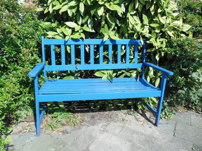 蓝漆木凳在公园或花园里, 绿树成荫, 空旷, 户外放松