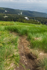 位于保加利亚索非亚 Vitosha 山的绿色丘陵全景