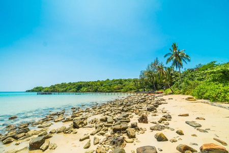 美丽的热带海滩和海与椰子棕榈树在天堂海岛为旅行和假期