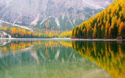 风景优美的金色落叶松观受到阳光的照射，并反映在表面水的湖 Braies，白云石的阿尔卑斯山，意大利
