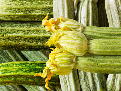 西葫芦组成通过混合几张照片获得。垂直, 水平和对角线和几个绿色色调, 以突出黄色橙西葫芦花