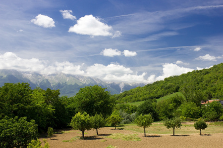 夏天风景