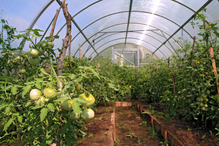 光伏温室大棚图片-光伏温室大棚素材-光伏温室大棚插画-摄图新视界