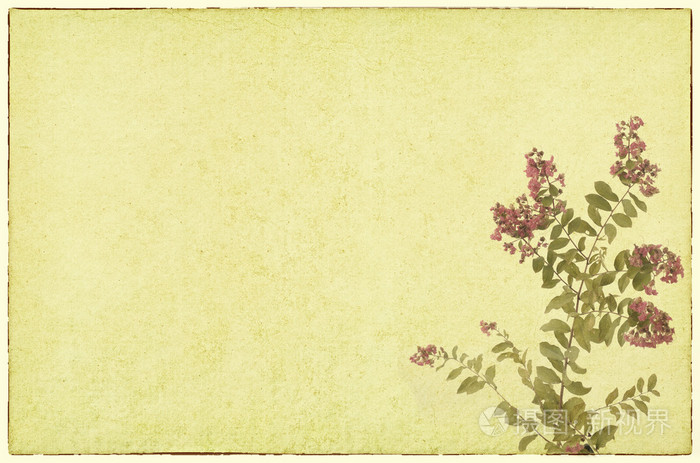 默特尔比绉花与旧 grunge 古色古香的纸张纹理