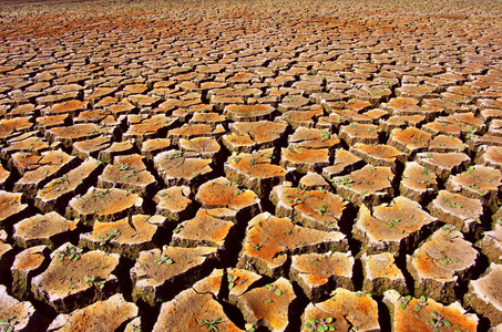 田地干旱图片-田地干旱素材-田地干旱插画-摄图新视界
