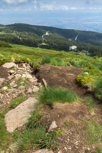 位于保加利亚索非亚 Vitosha 山的绿色丘陵全景