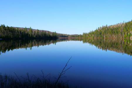 在湖上的景观, 野生森林反映在平静的水由一个和平, 美丽的阳光明媚的早晨在加拿大魁北克北部, 春季